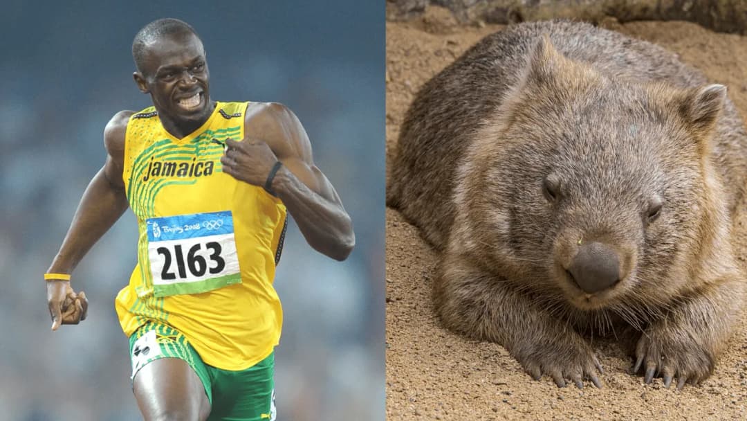 Jak szybko biega człowiek? Odkryj prędkości biegaczy i rekordy